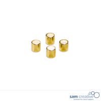 Aimants cylindre or set 4 pièces (4 pcs)